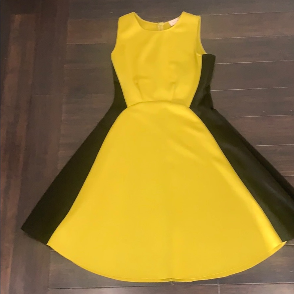 Love...ady Green and Black Raw Hem Skater Dress